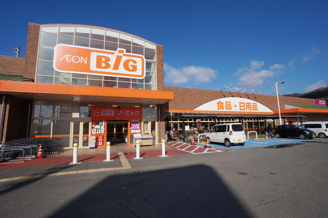 ザ・ビッグ松山山越店