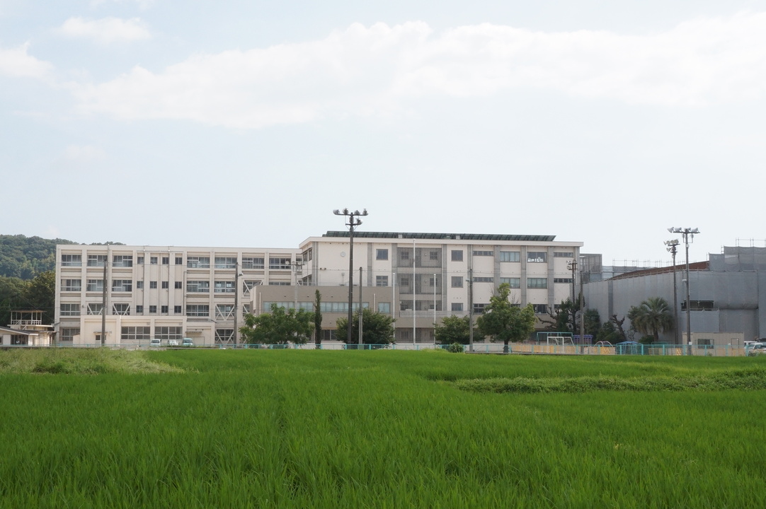 河野小学校