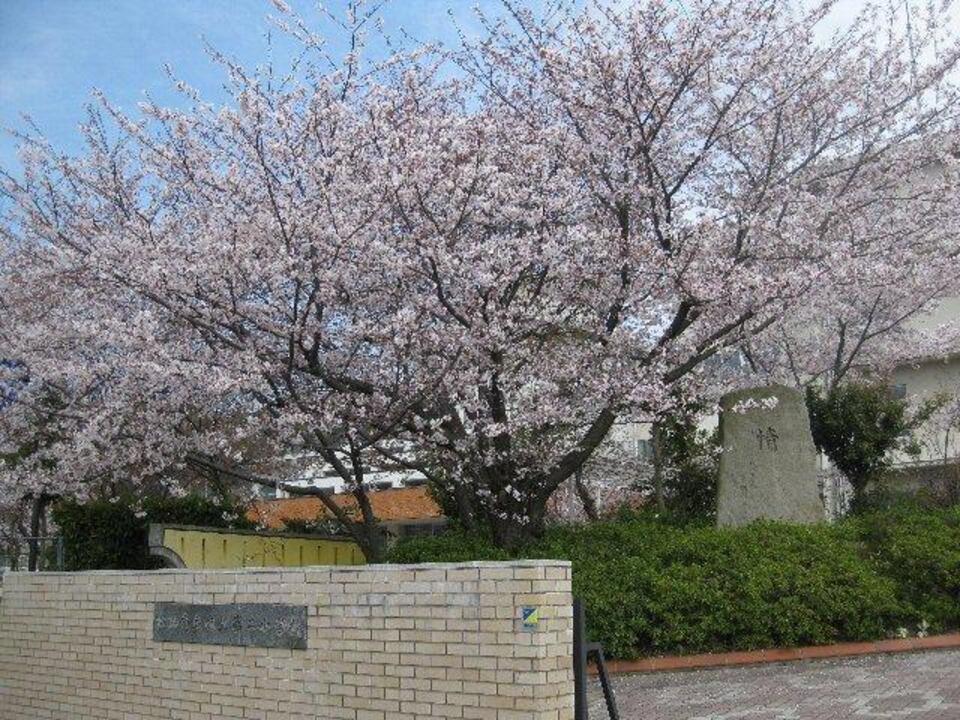 津田中学校