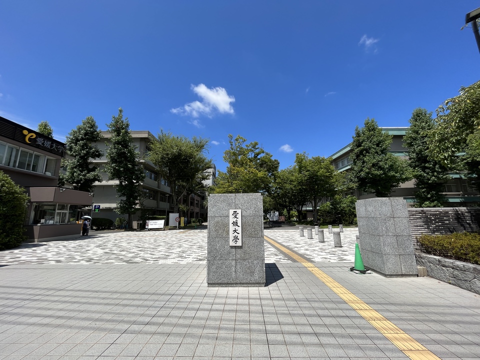 くすりのレデイ 天山店