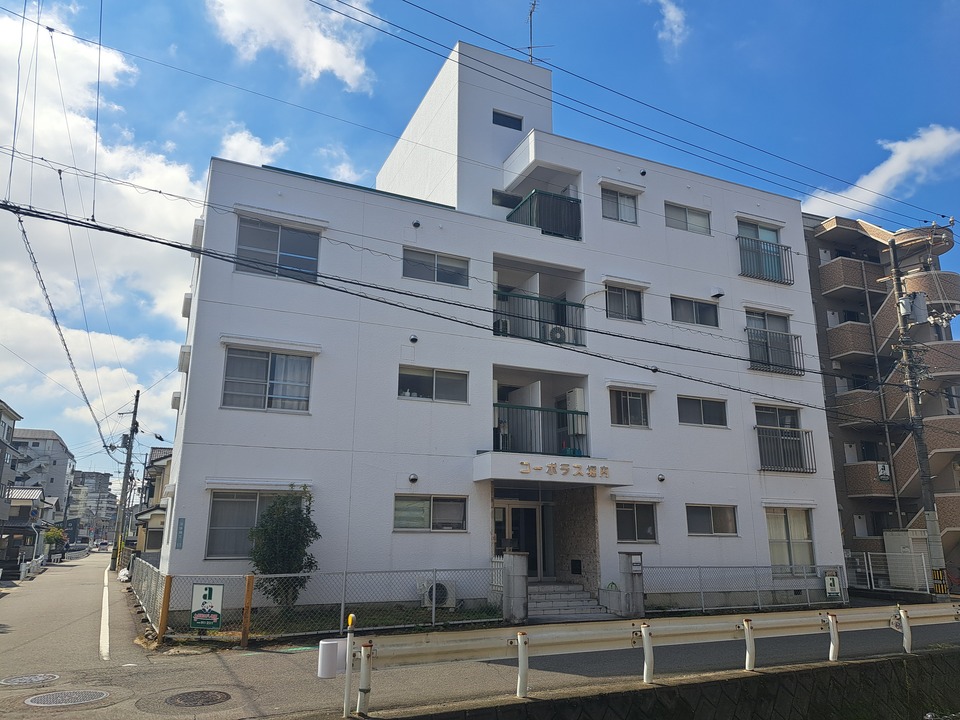 リノベーション物件特集 愛媛県 松山市 松山市道後樋又の賃貸マンション 不動産特集 日本エイジェント