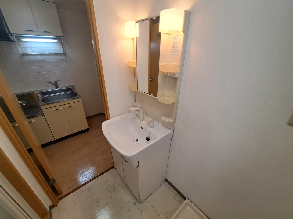 シャンプードレッサー