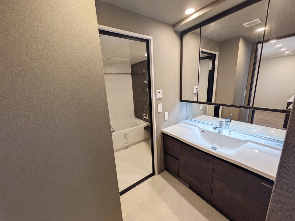 シャワー付洗面化粧台