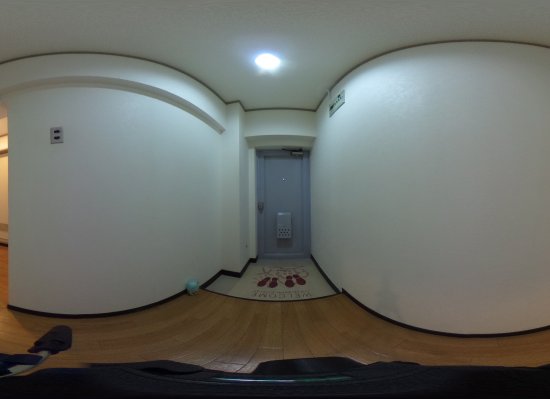 360°ビュー