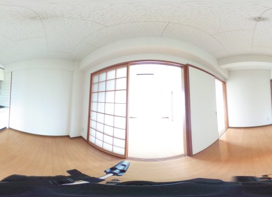 360°ビュー